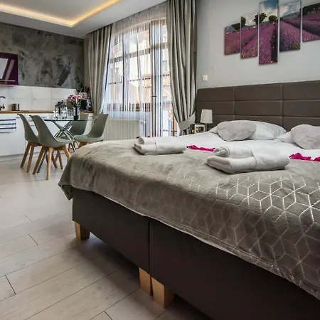 Hotelove Z Biokominkiem Na Skale Karpacz