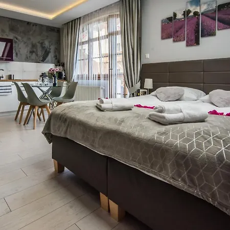 Hotelove Z Biokominkiem Na Skale Apartmán *